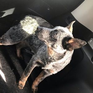 Meet your Posher, Kathleen